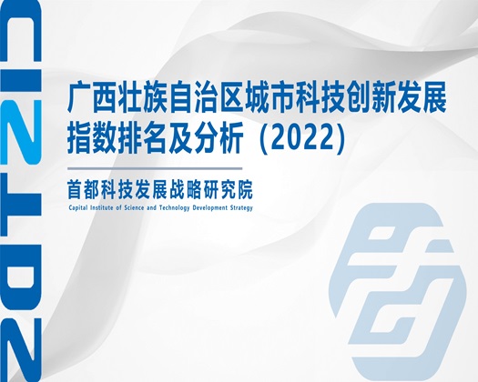 啊嗯不要嗯视频【成果发布】广西壮族自治区城市科技创新发展指数排名及分析（2022）